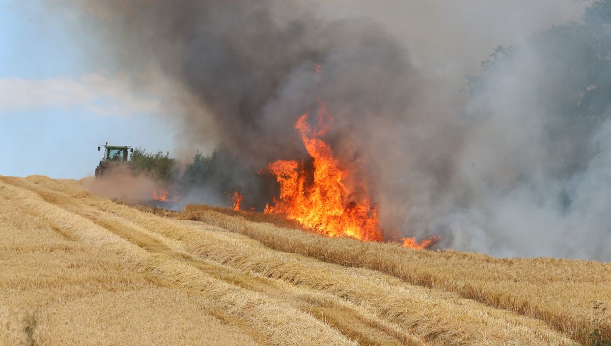 Prévenir les risques de feux en agriculture