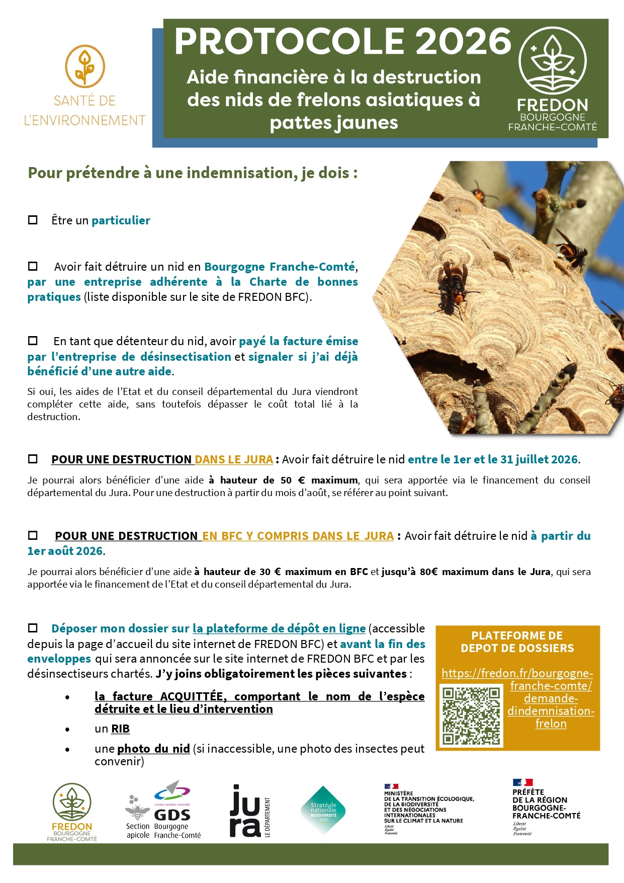 Aide financière pour la destruction de nids de frelons asiatiques