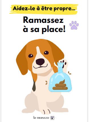 Déjections canines